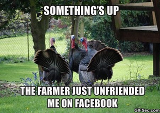 Illustration for article titled Turkey tips & stuffing swap, with gravy on top